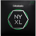 D'Addario Elbas NYXL4095