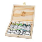 Schmincke Horadam Supergranulation set – Shire 5 x 15ml