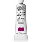 Winsor & Newton Artists' Oil Colour 37ml – Ultramarine Pink 669