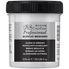 W&N Gloss UV Varnish 225ml