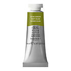 W&N akv 14ml Olive Green