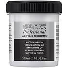 W&N Matt UV Varnish 225ml