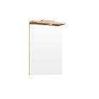 Temal Spegel Classic med LED-ramp Led-ramp spegel 55 x 18 87 cm, Ljus Ek LPL550E2