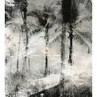 Dimex Fototapet Palm Trees Abstract MS-3-0374D