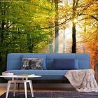 Arkiio Fototapet Självhäftande Forest Colours A3-SFT1773samA