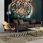 Arkiio Fototapet Bengal Tiger A3-LFTNT0741-A