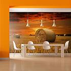 Arkiio Fototapet Fält Av Guld A3-LFTNT0951-A