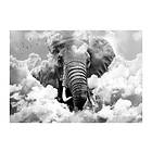 Artgeist Fototapet Elephant In The Clouds Black And White 250x175 sp. z o. TM-XLFT1686