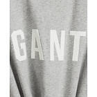 Gant Logo T-Shirt JR Light Grey Melange (Storlek 146/152)