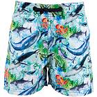 Collection Max Max Badshorts