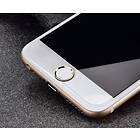 Pixel 6 Härdat Glas 9H Protector