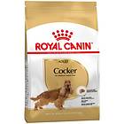 Royal Canin BHN Cocker Spaniel 12kg