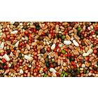 Bello Duvblandning Arnes Multicolored 25kg