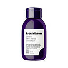 LeaLuo Say Bye Anti-Brass Shampoo, 300ml