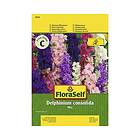 FloraSelf Blomfrö Riddarsporre mix