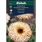 Weibulls Blomsterfrö Ringblomma