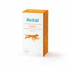Avital Flora