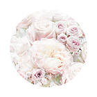 Komar Fototapet Dot Cream roses Ø125cm