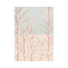 Komar Fototapet Plain 200x280cm 4-delars INX4-023