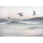 Komar Fototapet Mystic Cranes 400x280cm 8-delars INX8-083