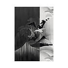Komar Fototapet Yin Yang 200x280cm 4-delars INX4-018