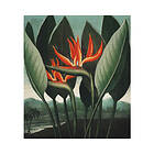 Special Decoration Fototapet SPECIAL DECORATION non-woven Strelitzia