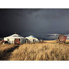 Special Decoration Fototapet SPECIAL DECORATION Mongolisk Yurts 243x184cm