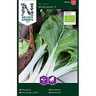 Nelson Garden Frø Bladbete White Silver Organic