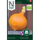 Nelson Garden Frø Jättepumpa Uchiki Kuri Organic