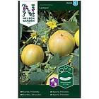 Nelson Garden Frø Äppelgurka Lemon