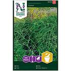 Nelson Garden Fröer Vanlig dill Como Big Pack