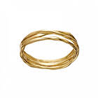 Maanesten Nemo Ring Guld 53