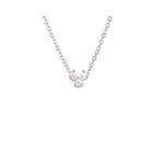 Drakenberg Sjölin Petite Star Pearl Halsband Silver