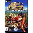 Harry Potter: Quidditch World Cup (PC)