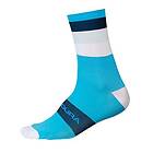 Endura Bandwidth Sock Hivizblue