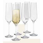 Eva Solo Legio Nova Champagne Glass 26cl 6-pack