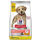 Hills Science Plan Puppy Large Perfect Digestion (12kg)