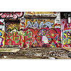 Graffiti Dimex Tapet Street MS-5-0321-DX