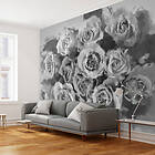 Arkiio Fototapet A Dozen Roses A3-LFTNT1497-A