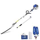 Hyundai HYPT5200X 52cc Petrol 3m Long Reach Pole Hedge Trimmer