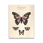 Frank & Poppy Poster & Butterflies V 40x50 cm