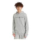 Tommy Hilfiger Essential Hoodie Light Grey Heather