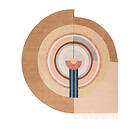 CC-Tapis Bliss Rug Round