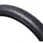 Tannus Shield Regular 20´´ Tyre Svart 20´´ / 38