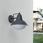 Lindby Medolina utomhusvägglampa