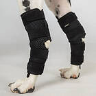 Back On Track Dixie Hundhasskydd (XL)
