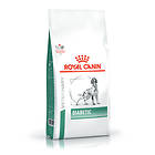 Royal Canin CVD Diabetic 12kg