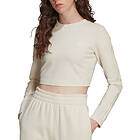 Adidas Originals Crop LS Tee