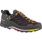 Salewa MTN Trainer 3F GTX 2017 (Homme)