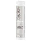 Paul Mitchell Scalp Therapy Shampoo (250ml)